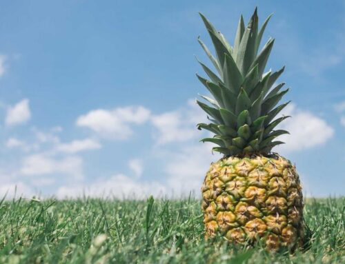 Managing Seasonal Allergies: A Guide for Treasure Valley Residents