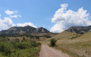 Quiet morning trail winding through grassy foothills near Boise, Idaho