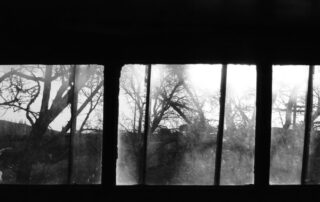 Sunlight through a quiet window suggesting calm and mental wellness